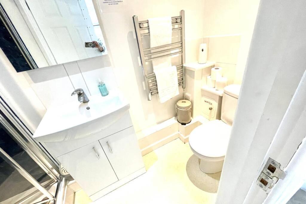 Koala & Tree - Big Studio At The Heart Of Cambridge - Short Lets & Serviced Accommodation 外观 照片
